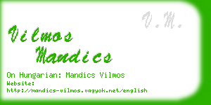 vilmos mandics business card